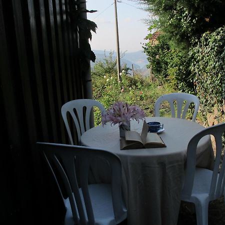 Casa Do Moleiro Guest House Cinfaes Luaran gambar